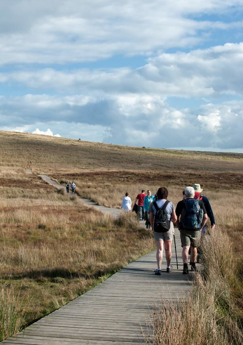 Divis & Black Mountain What to See Belfast & Northern Ireland